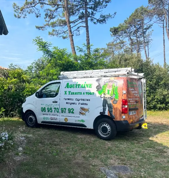 Réactivité Médocaine